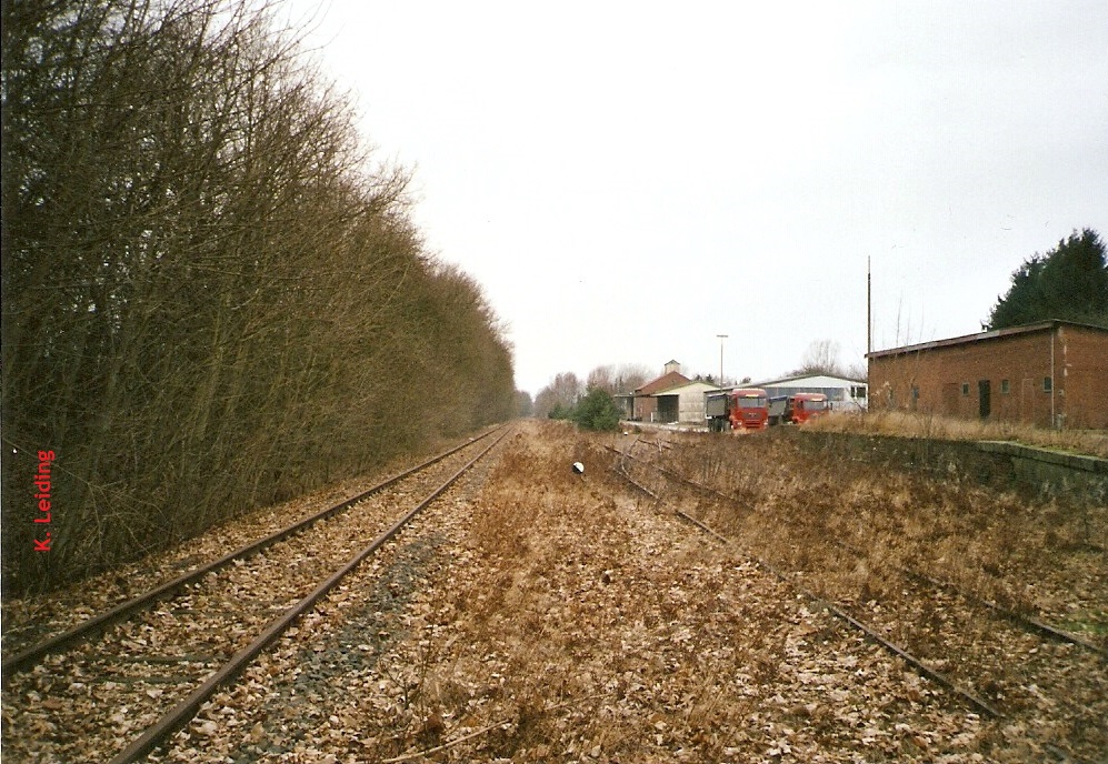 Verkrautete Gleisfläche in *Hollenstedt.